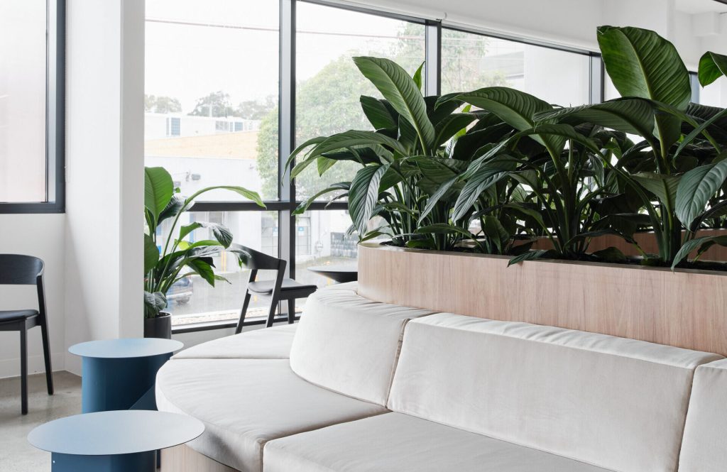 Assurant Hawthorn Office Fitouts Melbourne Agero