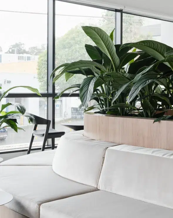Assurant Hawthorn Office Fitouts Melbourne Agero
