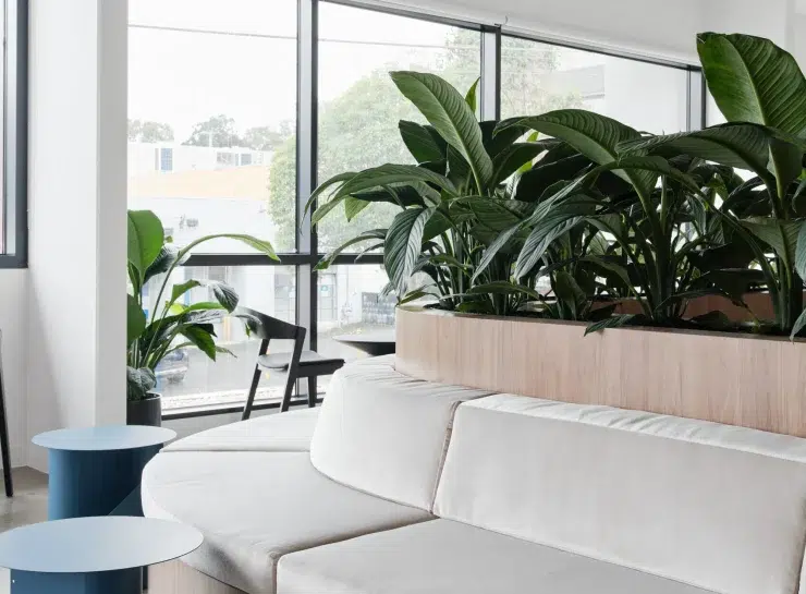 Agero Hawthorn Assurant Project Finals SimonShiff 0 5 scaled e1739759132509