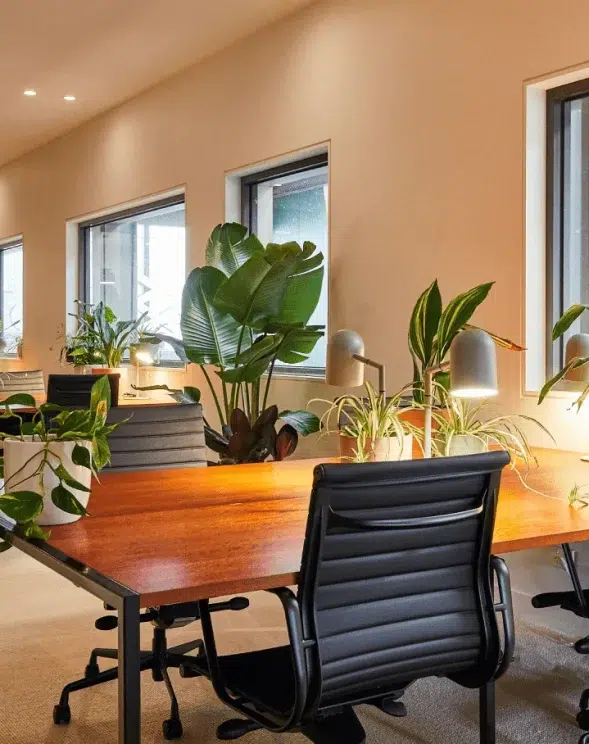 Cucumber Offices 61 Breese St Office Fitouts Melbourne Agero
