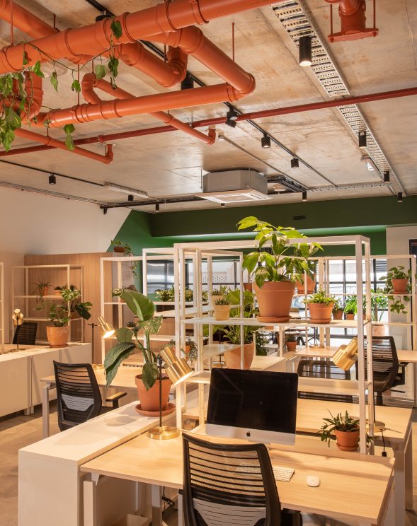 Cucumber Offices 61 Breese St Office Fitouts Melbourne Agero