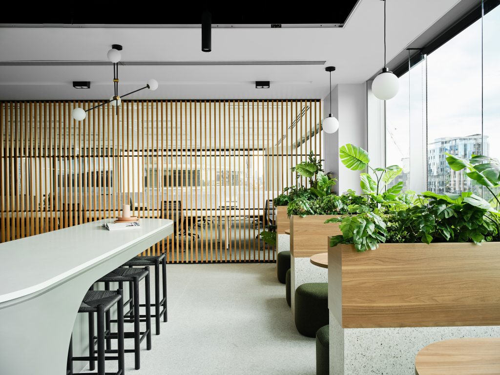 the studio our services